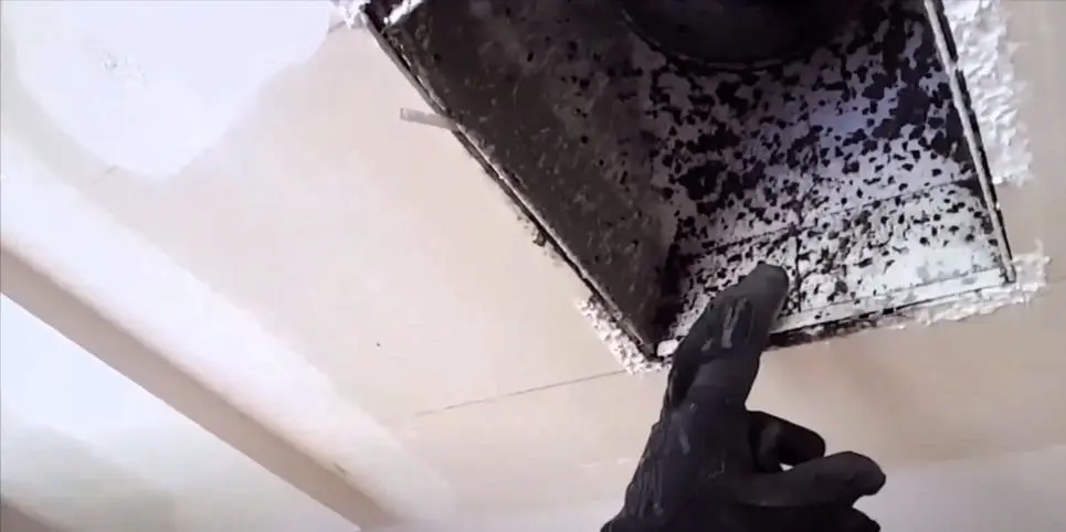 mold in air ducts explained and removal