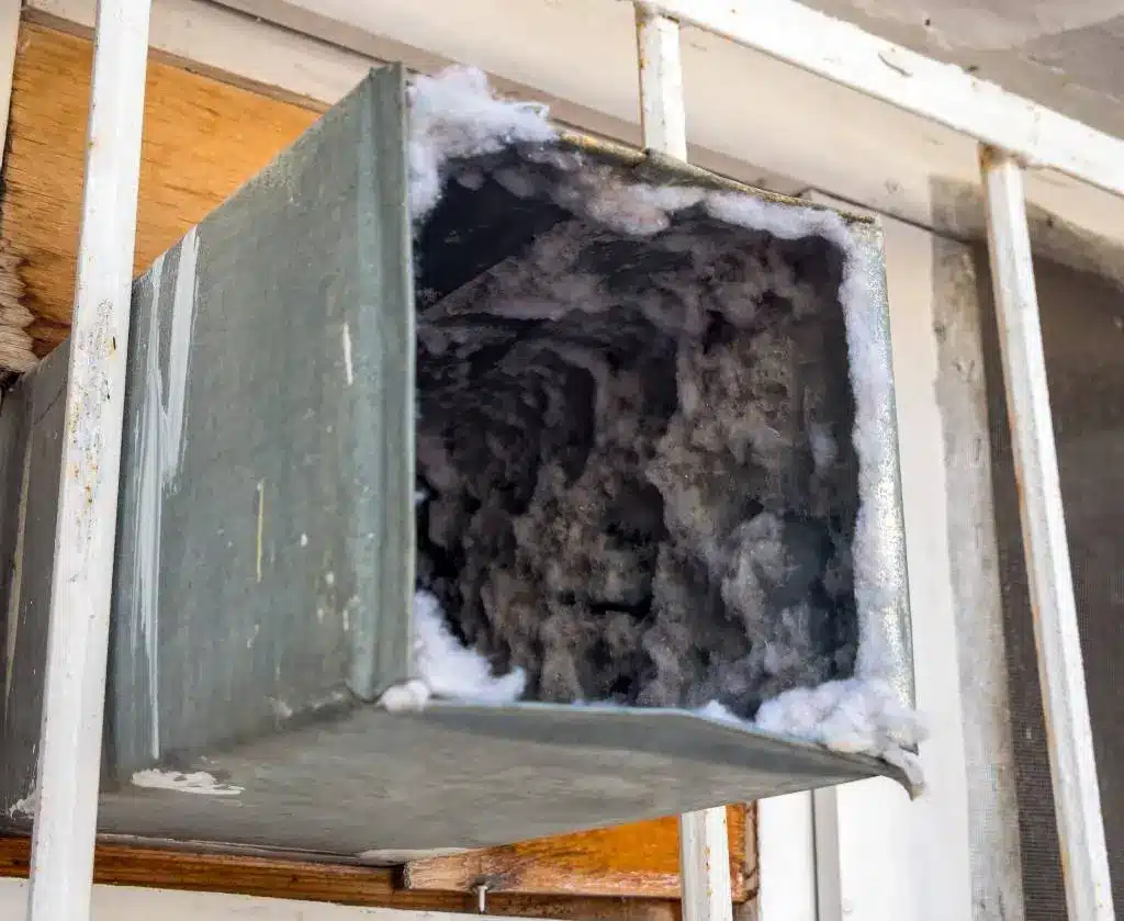 air duct mold removal example
