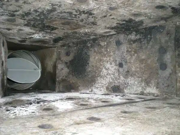 Air Duct Cleaning AP air duct cleaning services Kissimmee